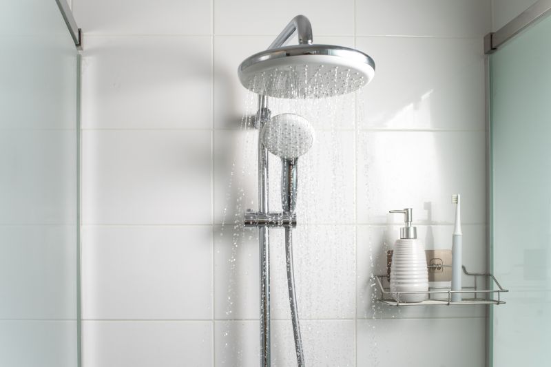 Rain Showerhead in a Contemporary Bathroom